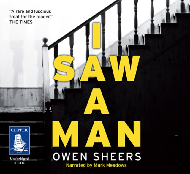 I Saw A Man, CD-Audio Book