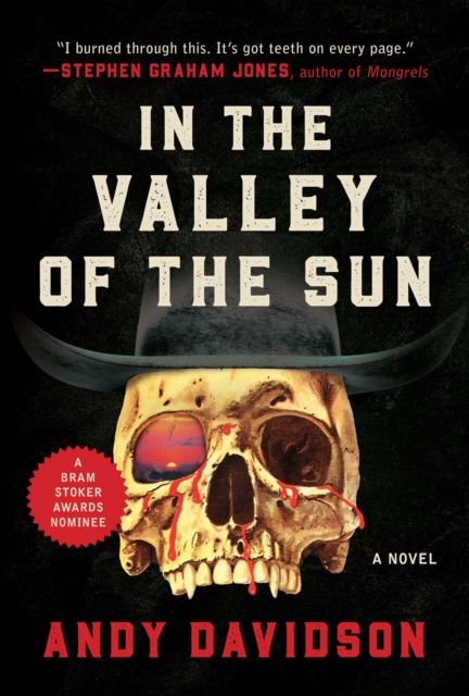In the Valley of the Sun : A Novel, EPUB eBook