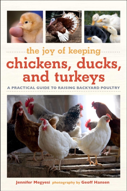 Joy of Keeping Chickens, Ducks, and Turkeys : A Practical Guide to Raising Backyard Poultry, Paperback / softback Book