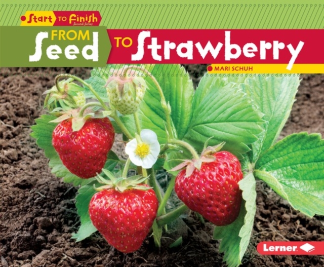 From Seed to Strawberry, PDF eBook