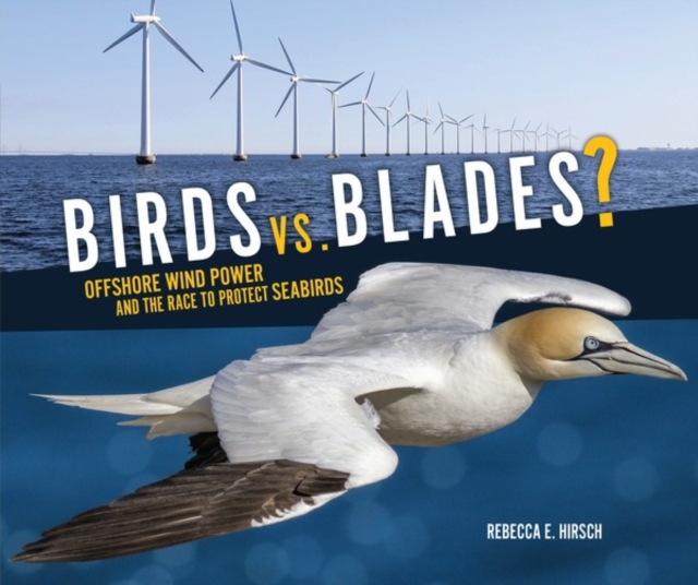Birds vs. Blades? : Offshore Wind Power and the Race to Protect Seabirds, PDF eBook