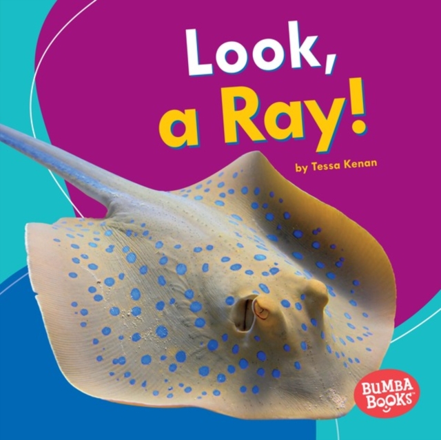 Look, a Ray!, PDF eBook