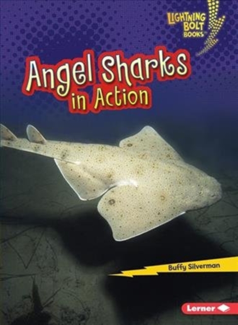 Angel Sharks in Action, Paperback / softback Book
