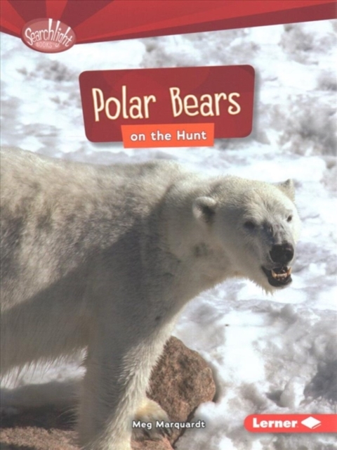 Polar Bears on the Hunt, Paperback / softback Book