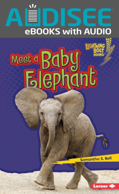 Meet a Baby Elephant, EPUB eBook