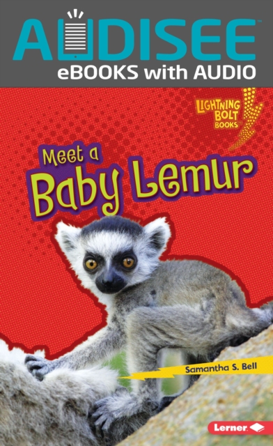 Meet a Baby Lemur, EPUB eBook