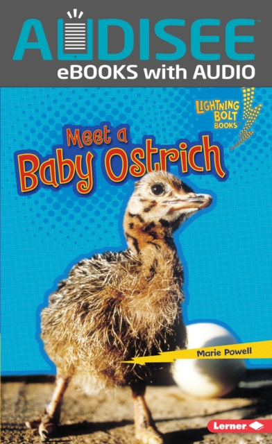 Meet a Baby Ostrich, EPUB eBook