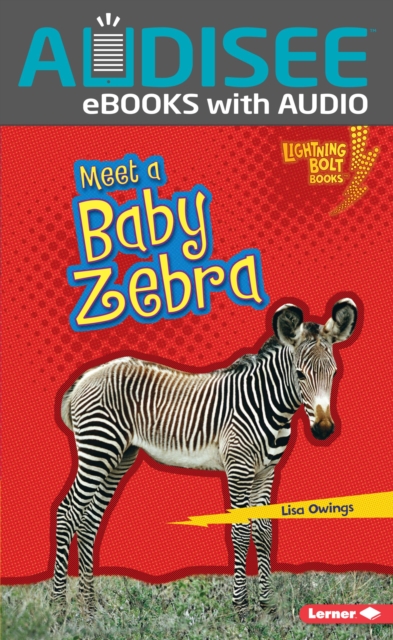 Meet a Baby Zebra, EPUB eBook