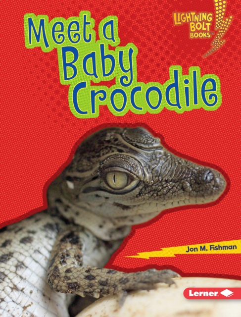 Meet a Baby Crocodile, EPUB eBook