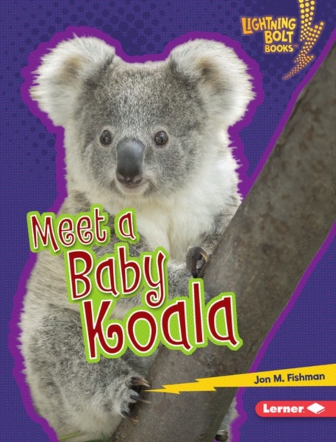 Meet a Baby Koala, EPUB eBook