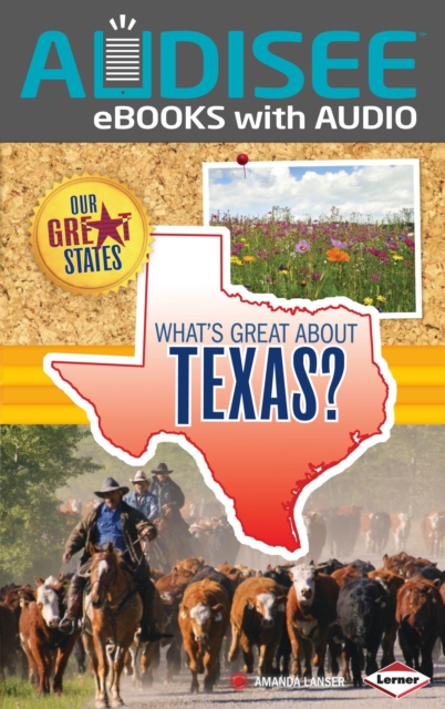What's Great about Texas?, EPUB eBook