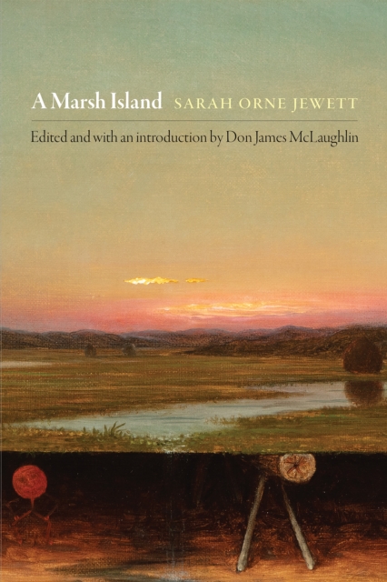 A Marsh Island, Paperback / softback Book