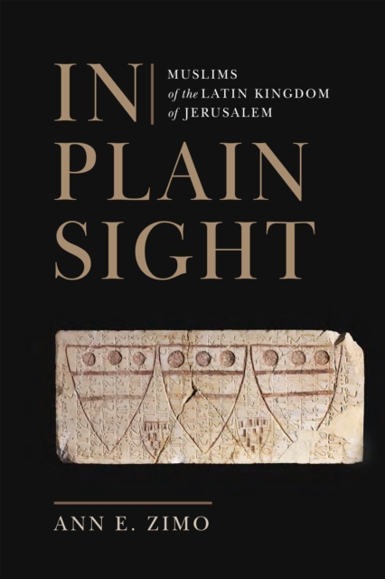 In Plain Sight : Muslims of the Latin Kingdom of Jerusalem, Hardback Book