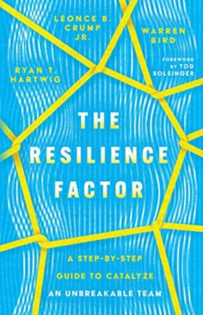 The Resilience Factor – A Step–by–Step Guide to Catalyze an Unbreakable Team, Paperback / softback Book