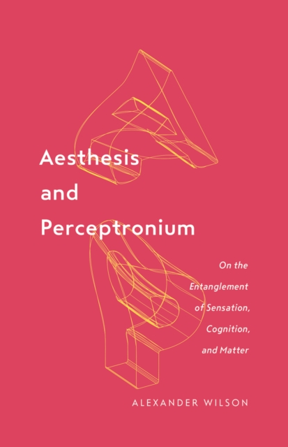 Aesthesis and Perceptronium : On the Entanglement of Sensation, Cognition, and Matter, Hardback Book