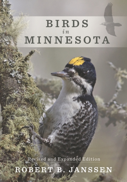 Birds in Minnesota : Revised and Expanded Edition, Paperback / softback Book
