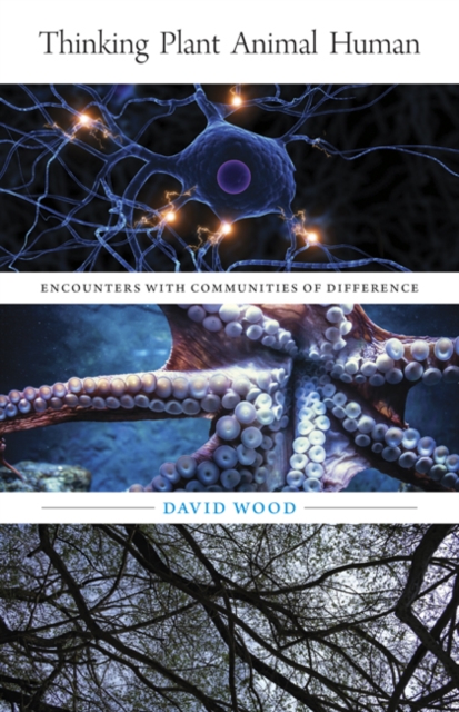 Thinking Plant Animal Human : Encounters with Communities of Difference, Paperback / softback Book