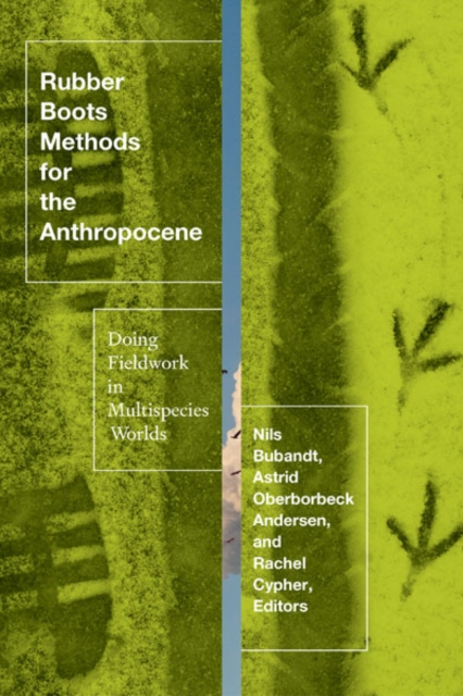 Rubber Boots Methods for the Anthropocene : Doing Fieldwork in Multispecies Worlds, Hardback Book