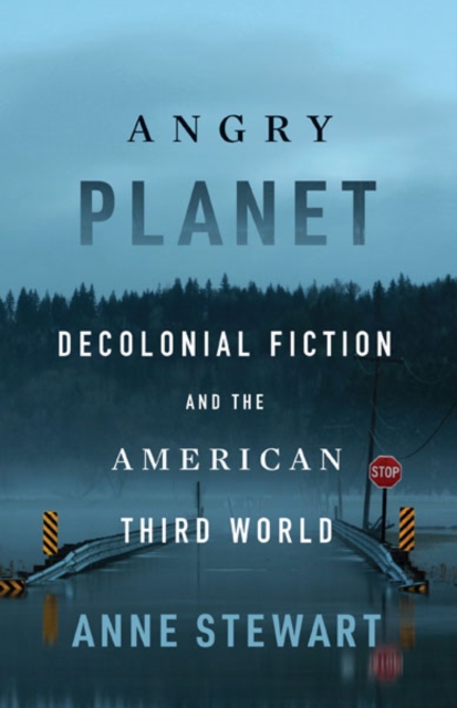 Angry Planet : Decolonial Fiction and the American Third World, Paperback / softback Book