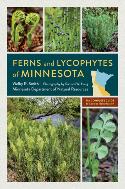 Ferns and Lycophytes of Minnesota : The Complete Guide to Species Identification, Paperback / softback Book