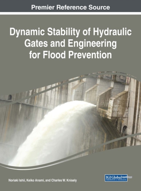 Dynamic Stability of Hydraulic Gates and Engineering for Flood Prevention, EPUB eBook