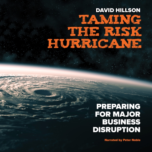 Taming the Risk Hurricane : Preparing for Major Business Disruption, PDF eBook