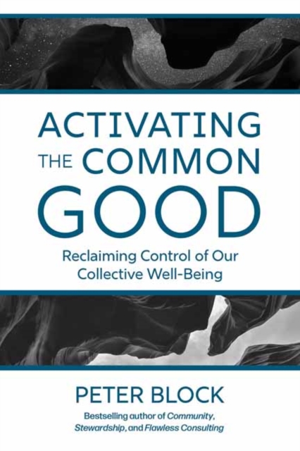 Activating the Common Good : Reclaiming Control of Our Collective Well-Being, Hardback Book