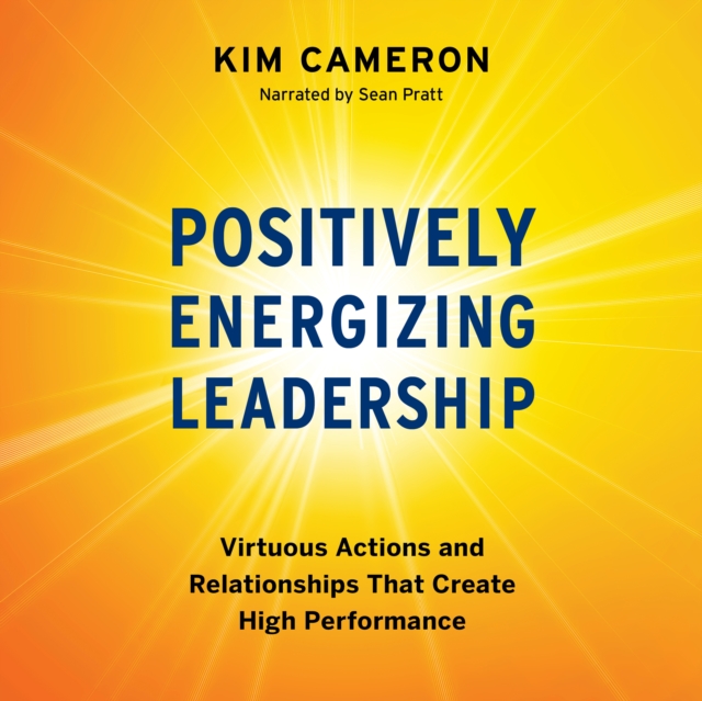 Positively Energizing Leadership : Virtuous Actions and Relationships That Create High Performance, PDF eBook