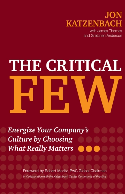 The Critical Few : Energize Your Company's Culture by Choosing What Really Matters, PDF eBook