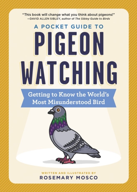 A Pocket Guide to Pigeon Watching : Getting to Know the World's Most Misunderstood Bird, Paperback / softback Book