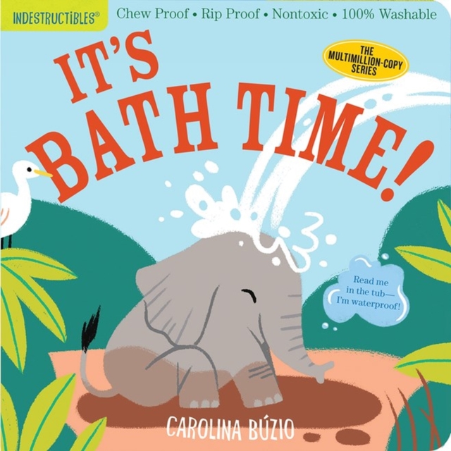 Indestructibles: It's Bath Time! : Chew Proof · Rip Proof · Nontoxic · 100% Washable (Book for Babies, Newborn Books, Safe to Chew), Paperback / softback Book