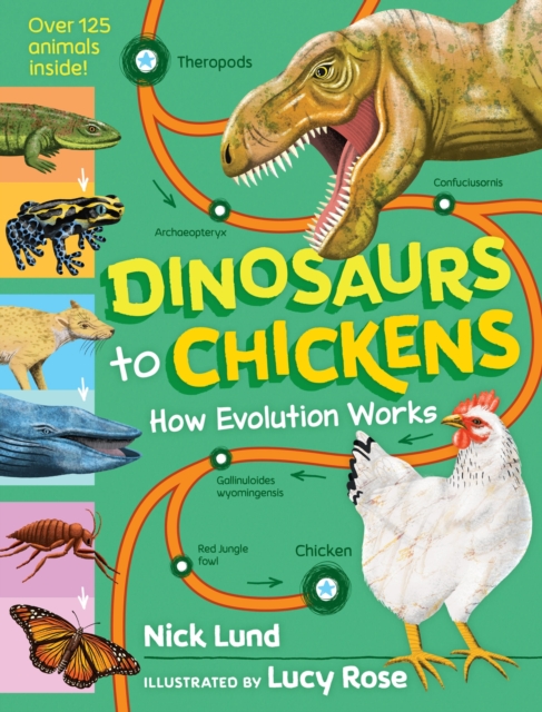 Dinosaurs to Chickens : How Evolution Works, Hardback Book