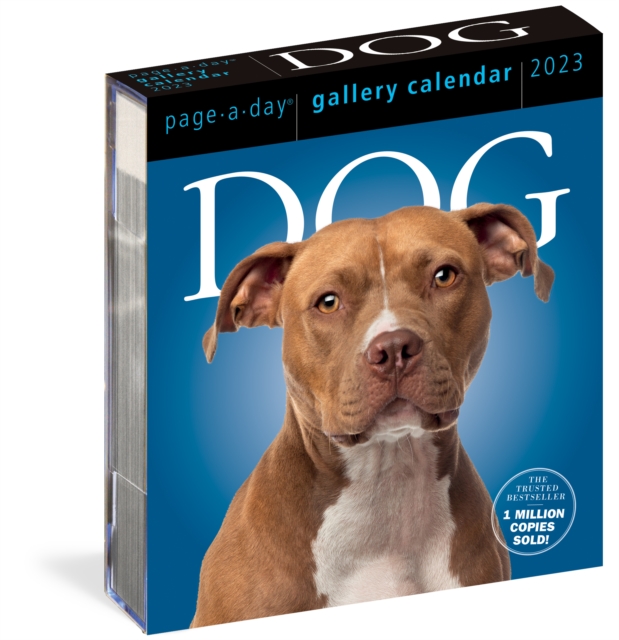 Dog Page-A-Day Gallery Calendar 2023, Calendar Book