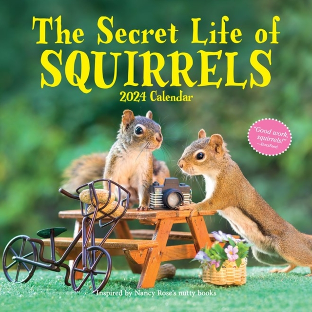 Secret Life of Squirrels Wall Calendar 2024 : A Year of Wild Squirrels, Calendar Book