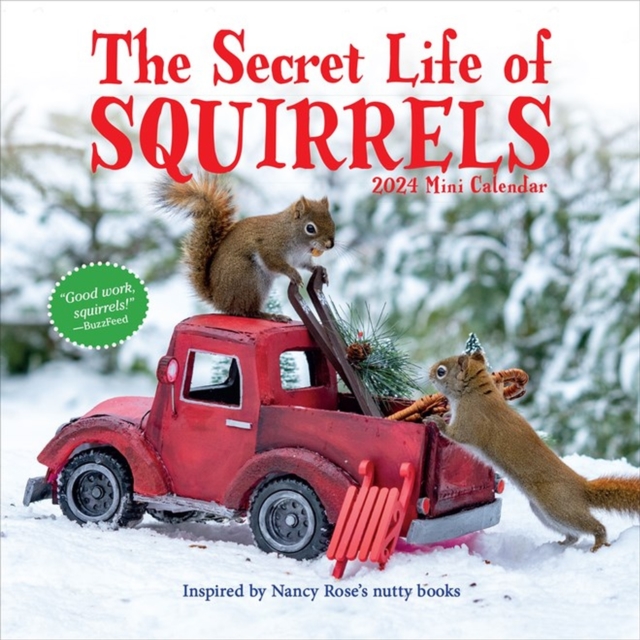 Secret Life of Squirrels Mini Calendar 2024 : Delightfully Nutty Squirrels, Calendar Book