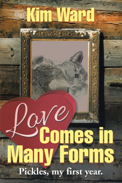 Love Comes in Many Forms, EPUB eBook