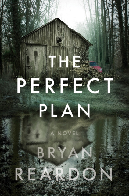 Perfect Plan, EPUB eBook