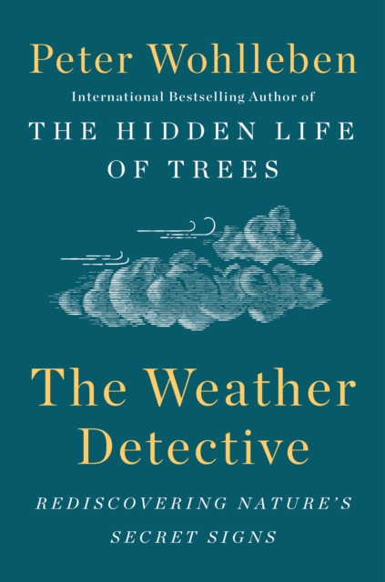 Weather Detective, EPUB eBook