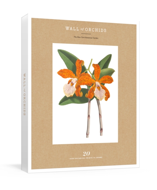 Wall of Orchids : 20 Rare Botanical Prints to Frame, Other printed item Book