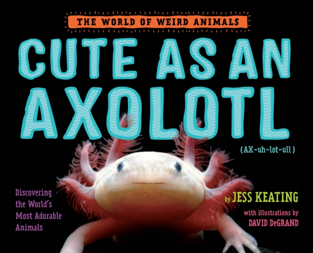 Cute as an Axolotl : Discovering the World's Most Adorable Animals, Hardback Book