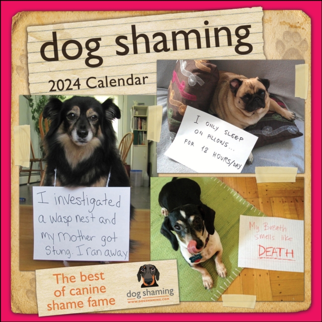 Dog Shaming 2024 Wall Calendar, Calendar Book