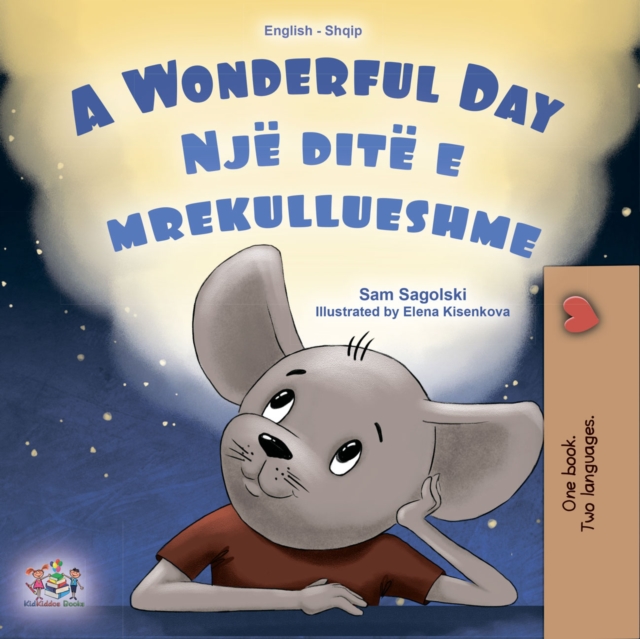 A wonderful Day Nje dite e mrekullueshme : English Albanian  Bilingual Book for Children, EPUB eBook