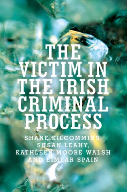 The Victim in the Irish Criminal Process, Paperback / softback Book