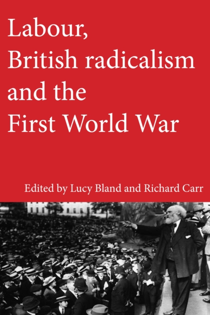 Labour, British radicalism and the First World War, EPUB eBook