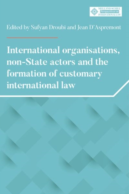 International Organisations, Non-State Actors, and the Formation of Customary International Law, Hardback Book