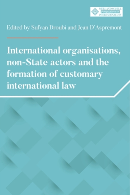 International organisations, non-State actors, and the formation of customary international law, PDF eBook