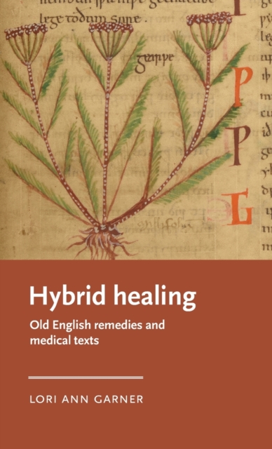Hybrid Healing : Old English Remedies and Medical Texts, Hardback Book
