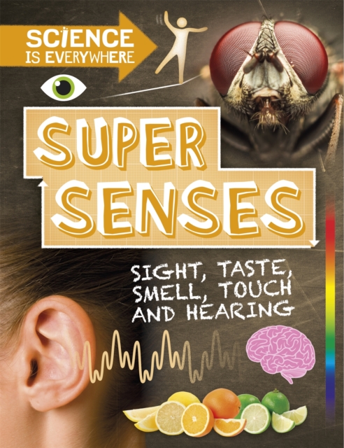 Science is Everywhere: Super Senses : Sight, taste, smell, touch and hearing, Paperback / softback Book