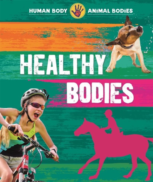 Human Body, Animal Bodies: Healthy Bodies, Paperback / softback Book