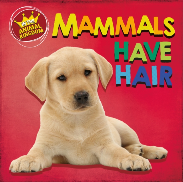 In the Animal Kingdom: Mammals Have Hair, Hardback Book